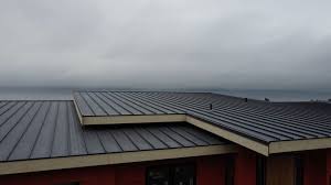 Best Metal Roofing Installation  in Kingsville, TX